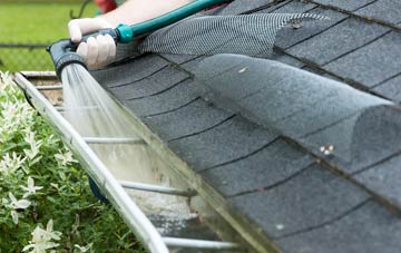 Tremaine gutter cleaning costs