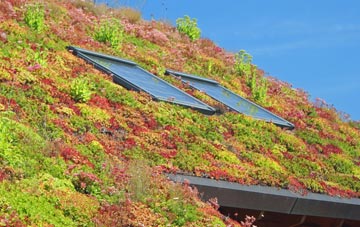 Tremaine living roof systems